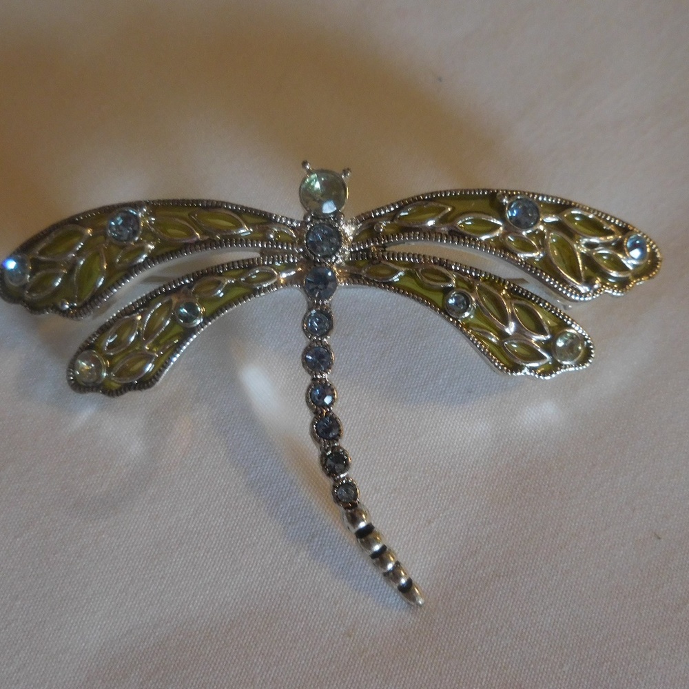 Dragonfly Design Pin